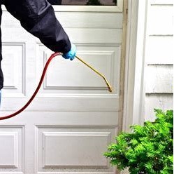 Pest Control